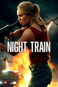 Assistir filme Night Train Online Grátis